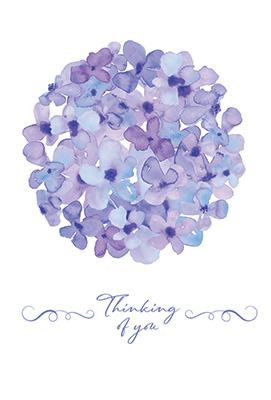 Hydrangea Circle