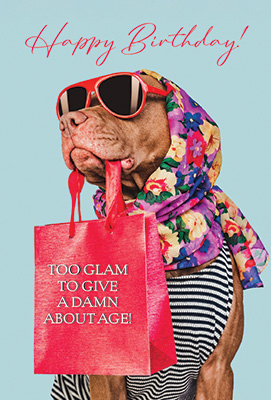 Fashion Dog