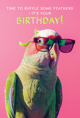 Pretty Parrot
