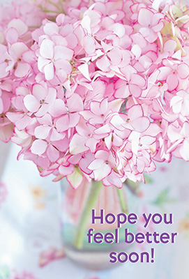 Pink Hydrangea