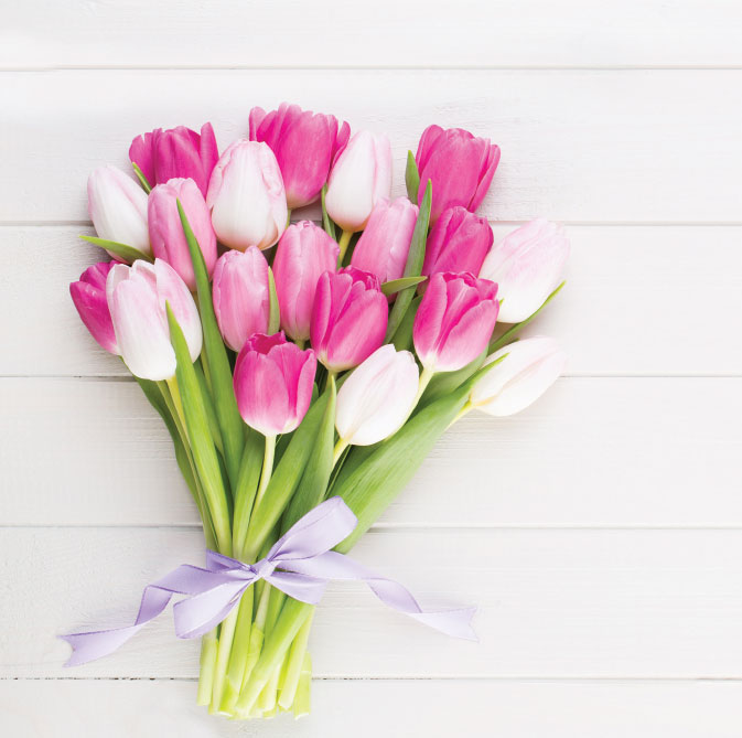 Tulips