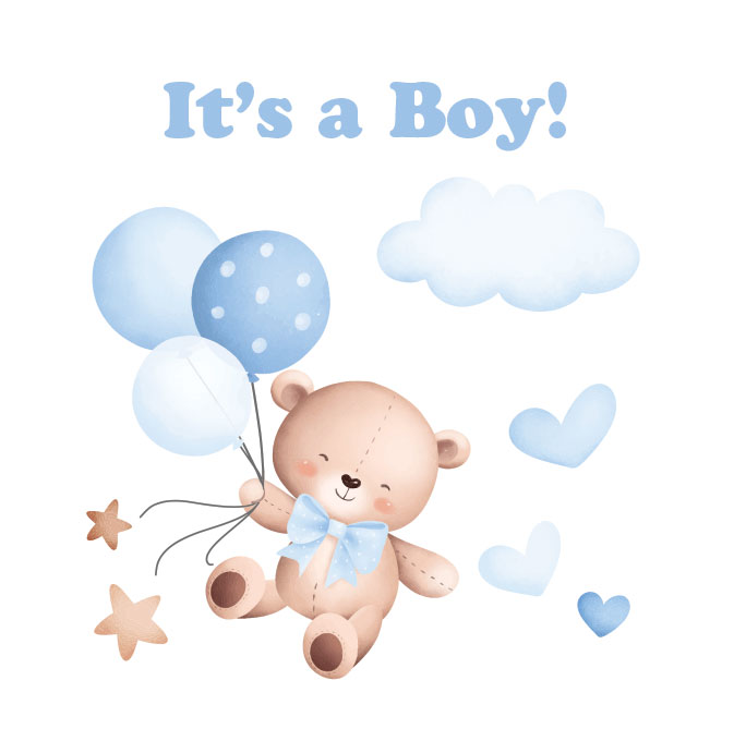 Boy Teddy