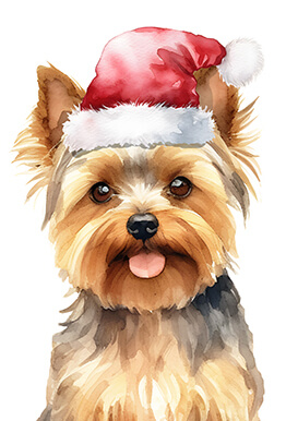 Christmas Silky Dog