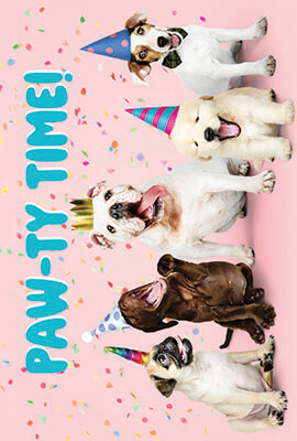 Dog Celebration