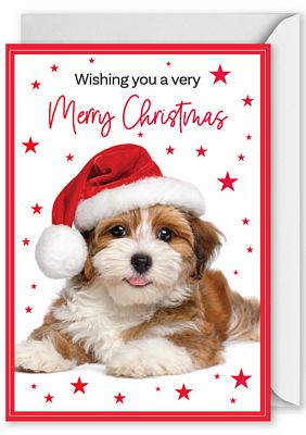 Foiled Christmas Card 8547 puppy