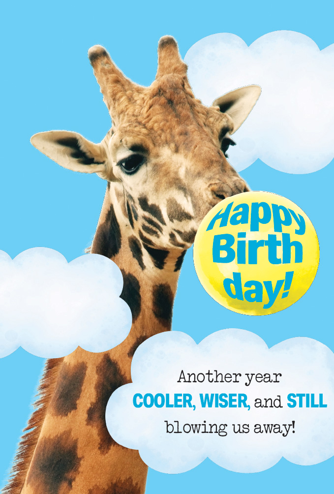 SP3043 Giraffe Birthday
