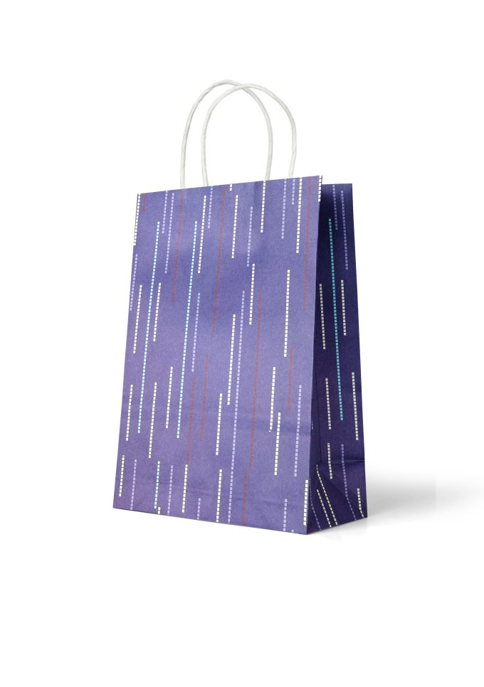 B242M Kraft Bag Small Blue Pattern