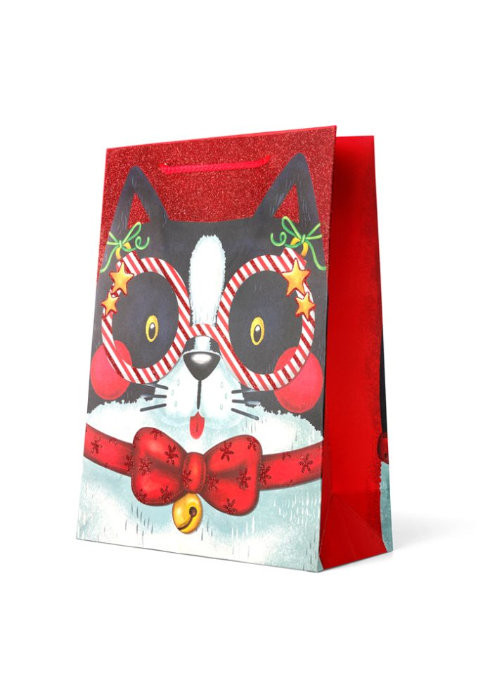 B448LX Gift Bag Large Cat with Glitter Glasses