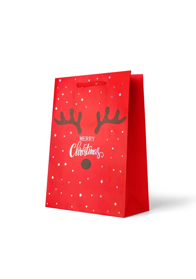 Gift Bag Medium Merry Christmas Reindeer Face