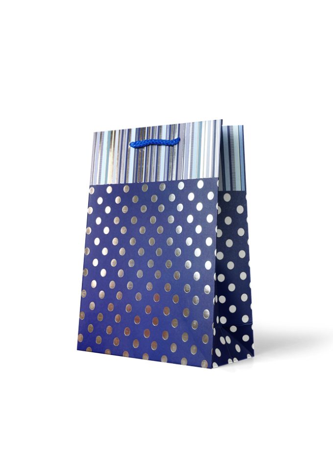Gift Bag Medium Foiled Silver Dots and Stripes on