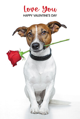 SKC1012 Valentines Pup