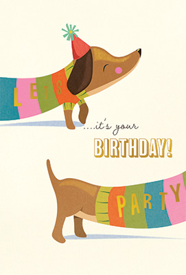 JC333 Party Pom Pom 6