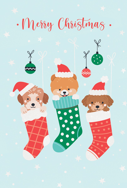 SSC5140 Christmas Stockings