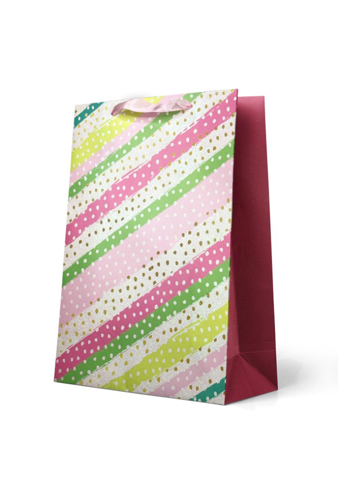 B1002L Gift Bag Large Pink & Green Stripes with Silver Sp
