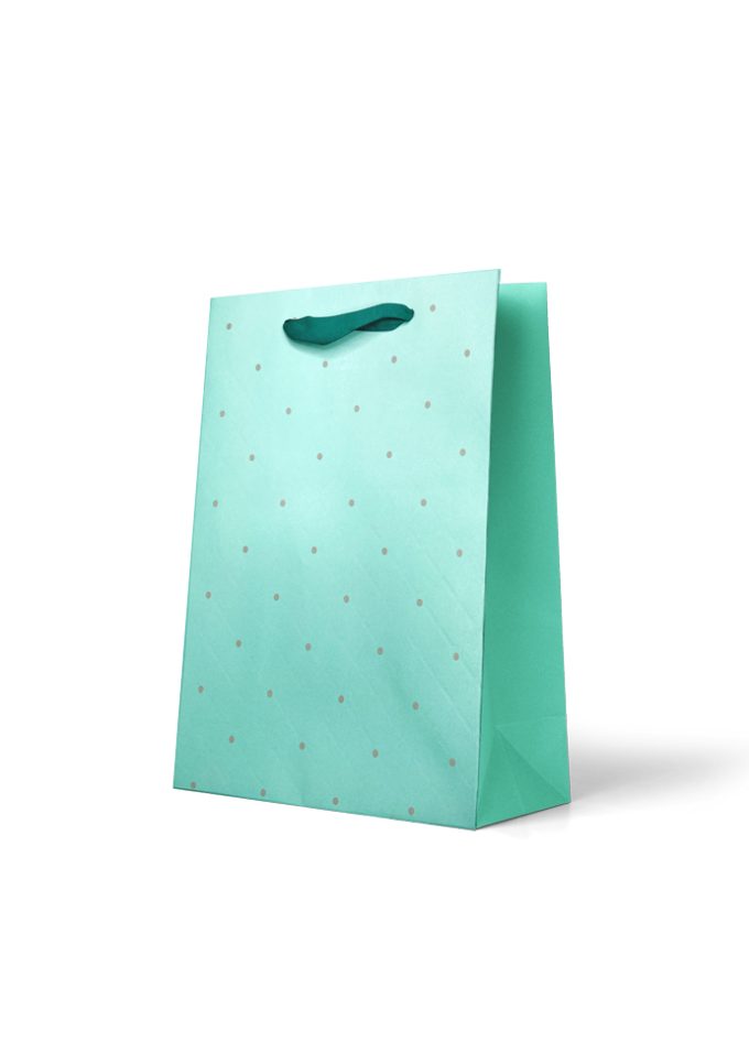 B1044MP Gift Bag Medium Diamond Outlines with Silver Spots