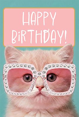 SP3056 Spectaular Kitten