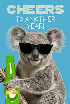 SP3057 Koala Cheers