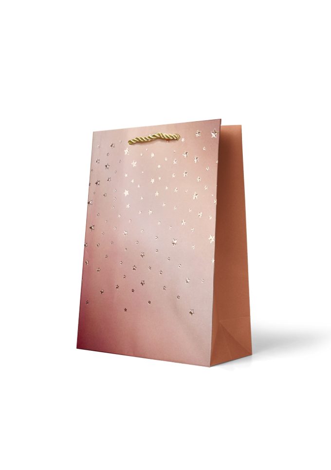 B923M Gift Bag Medium