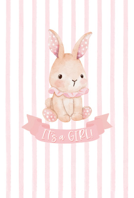 C3062 Baby Girl