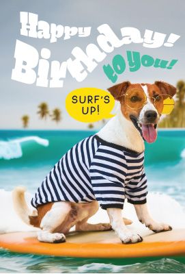 C3074 Surf's up