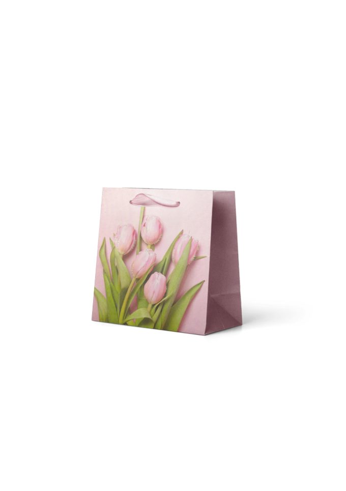 B1063S B1063S Small General Bag