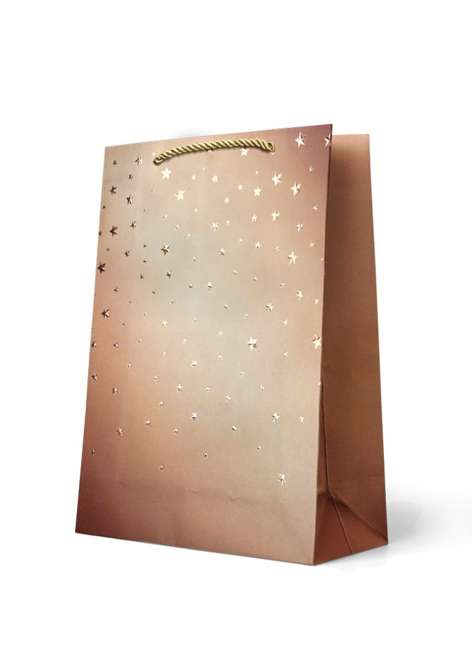 B923L Gift Bag Large