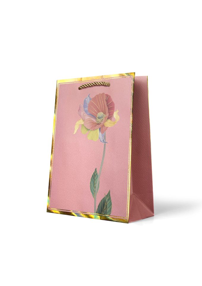 B942M Gift Bag Medium