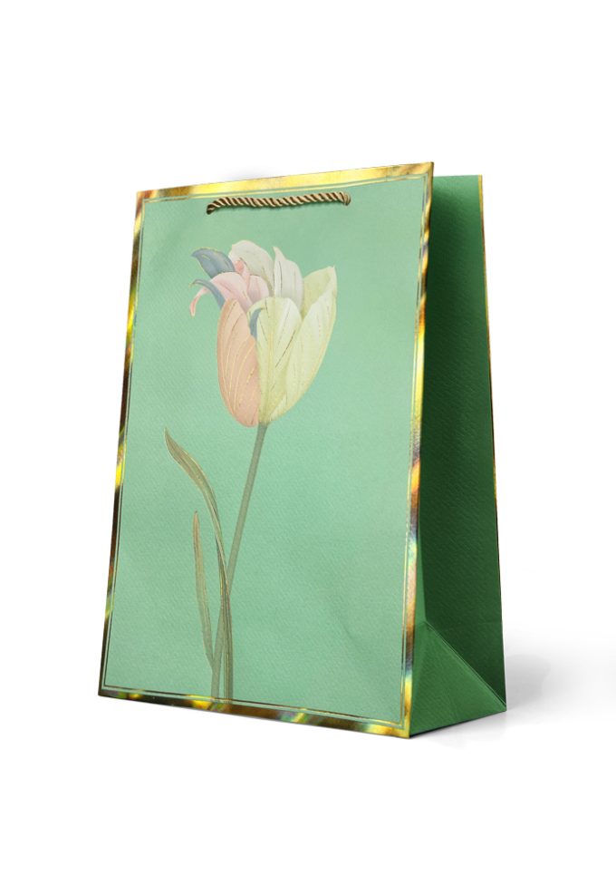 B943L Gift Bag Large
