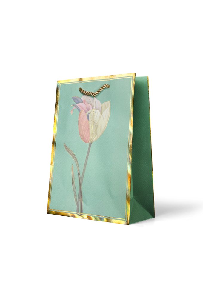 B943M Gift Bag Medium