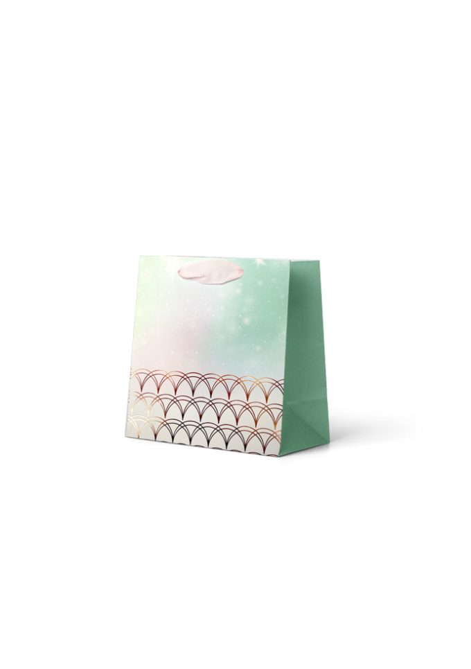 B1245SP B1245SP Small Premium Bag