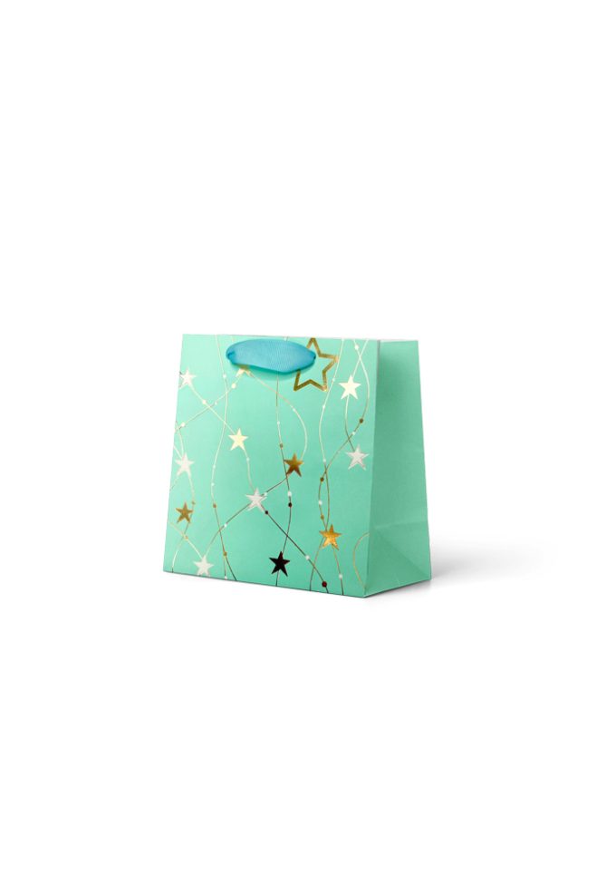B1249SP B1249SP Small Premium Bag