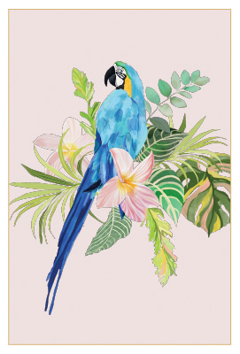 C3087 Pretty Parrot