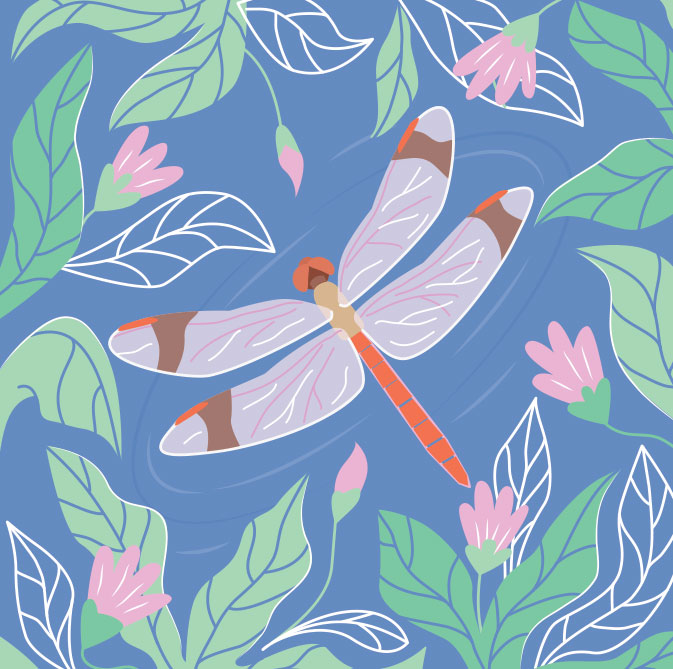 CS0231 Dragonfly