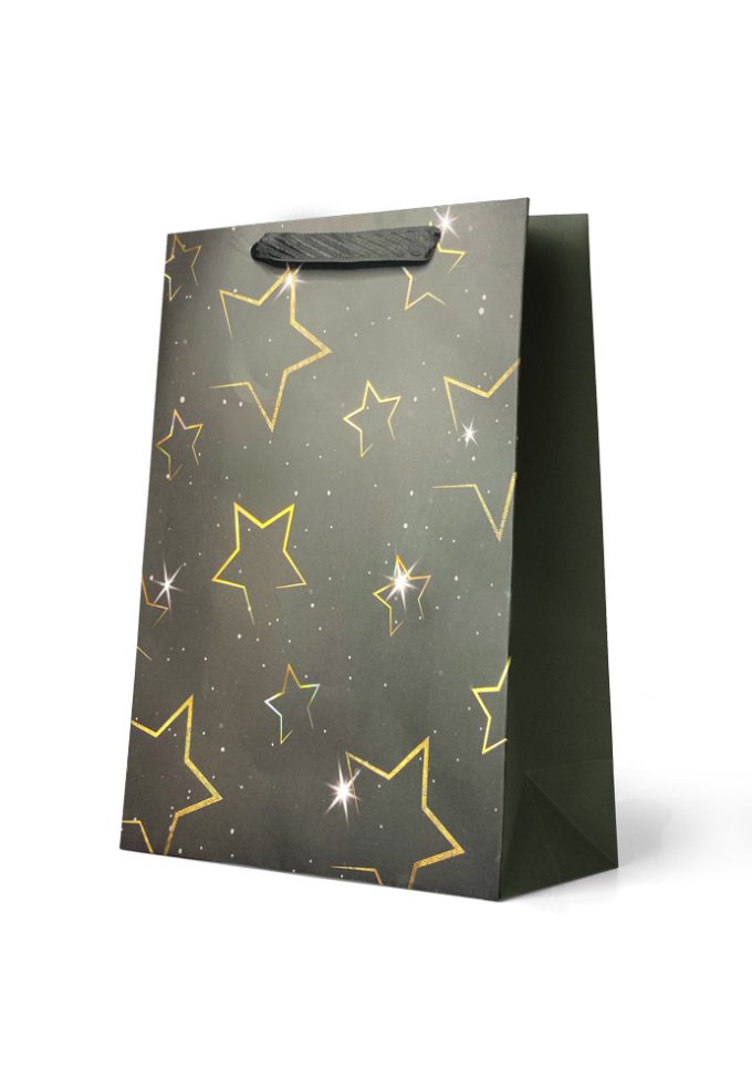 B1041LP Premium Gift Bag Large Gold Star Outlines on Black