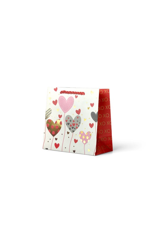 B1060S B1060S Small General Bag