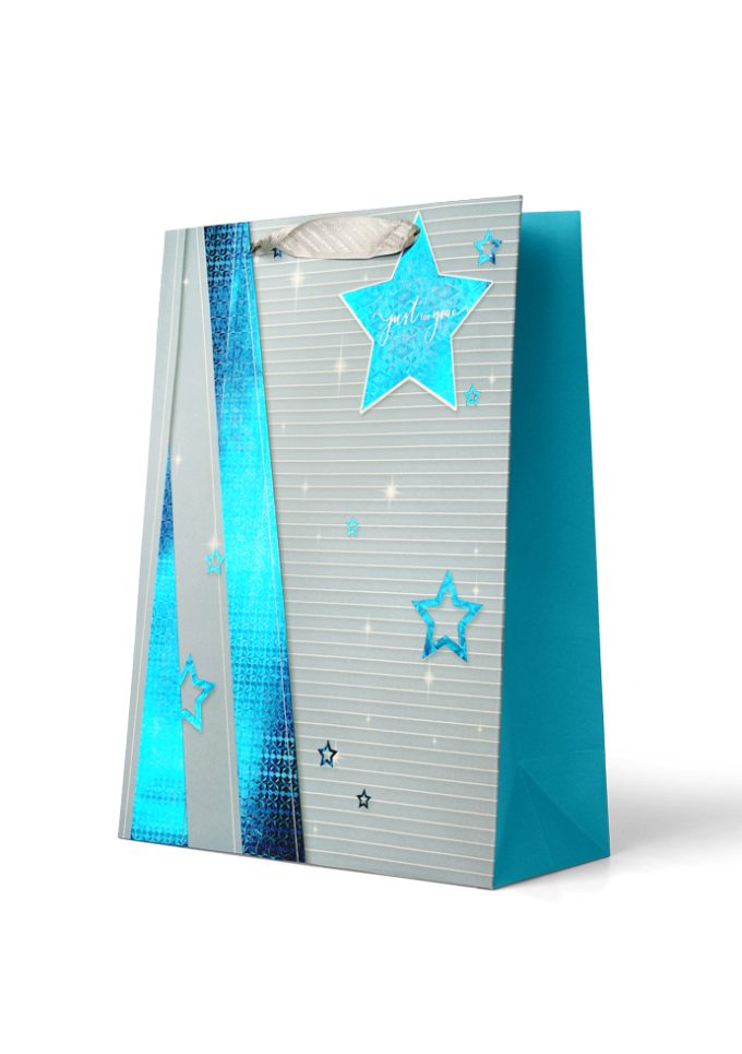 B1233LP B1233LP Large Premium Bag