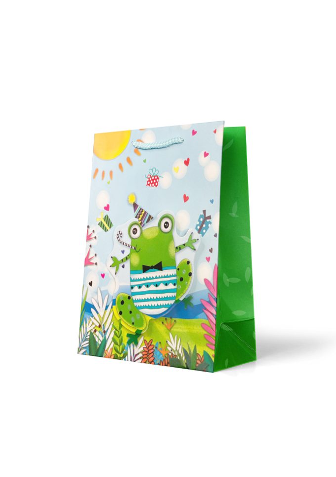 B720M Gift Bag Medium 3D Frog with Party Hat and Present