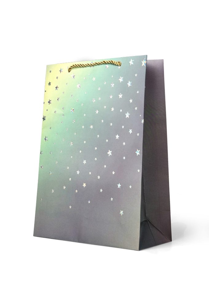 B921L Gift Bag Large
