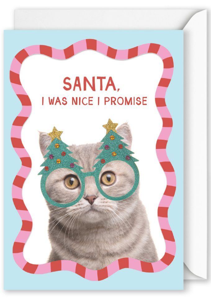 SMC5015 Christmas Cat