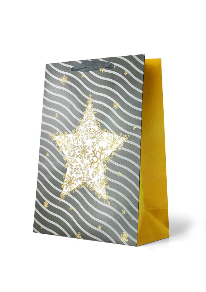 B594LX Gift Bag Large Gold Star with Wavy Stripes