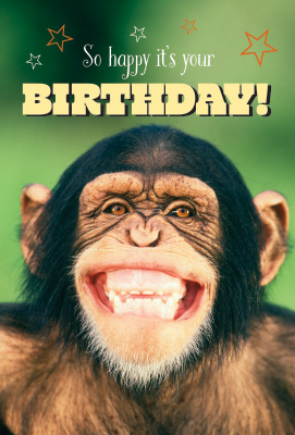 C3098 Birthday Chimp