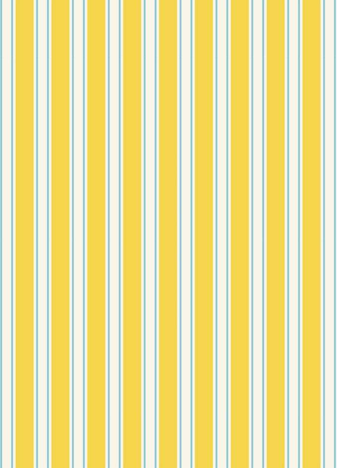 GW817 Yellow Lines