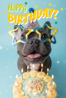 SP3067 Starry Birthday